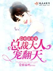 隐婚甜蜜蜜:总裁大人宠翻天