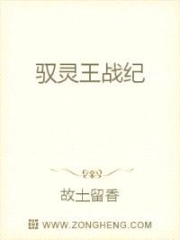 驭灵王战纪