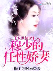 双世情深:穆少的任性娇妻