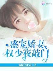 盛宠娇妻,权少夜敲门
