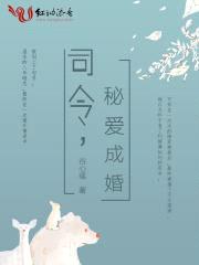 司令,秘爱成婚
