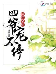 清穿皇妃：四爷，宠不停