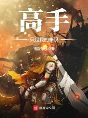 高手只是我的兼职