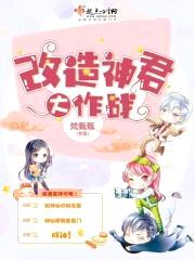 改造神君大作战