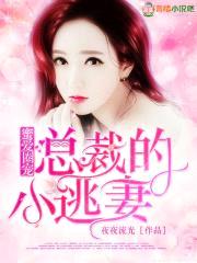 蜜爱圈宠:总裁的小逃妻