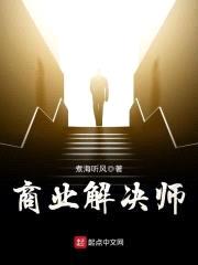 商业解决师