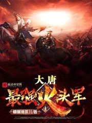 大唐最强火头军