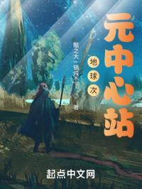 地球次元中心站