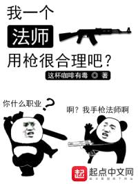 我一个法师用枪很合理吧