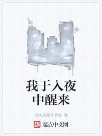 我于入夜中醒来