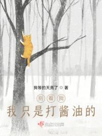 别看我，我只是打酱油的