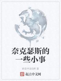 奈克瑟斯的一些小事